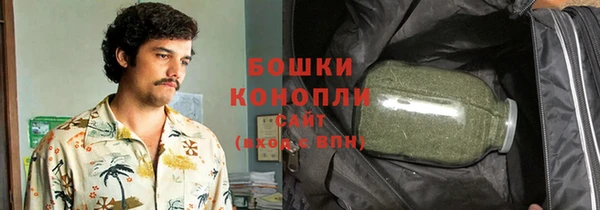 mdpv Каменка