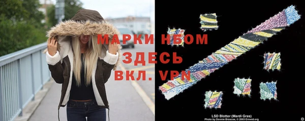 mdpv Каменка