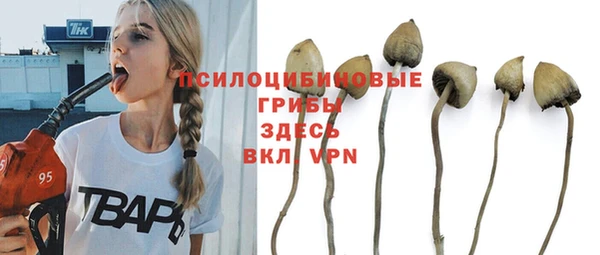 амф Каменск-Шахтинский