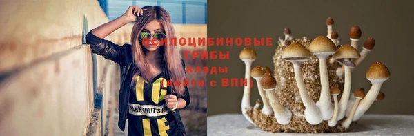 амф Каменск-Шахтинский