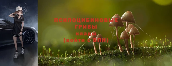 амф Каменск-Шахтинский