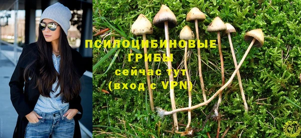 jwh Каменногорск