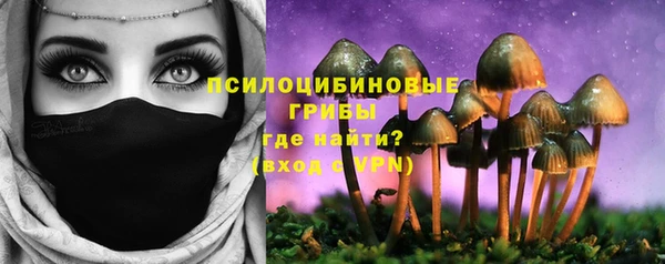 амф Каменск-Шахтинский
