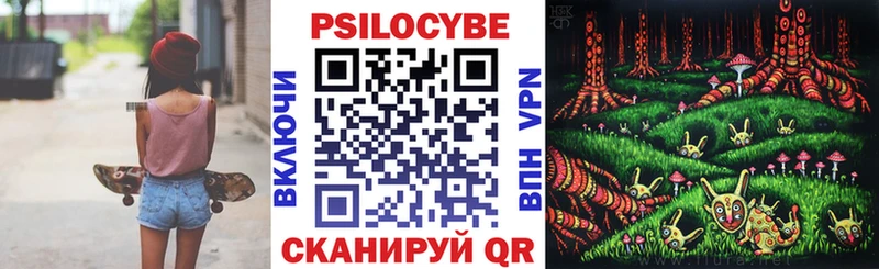 Купить где  Лабинск  Псилоцибиновые грибы мицелий 